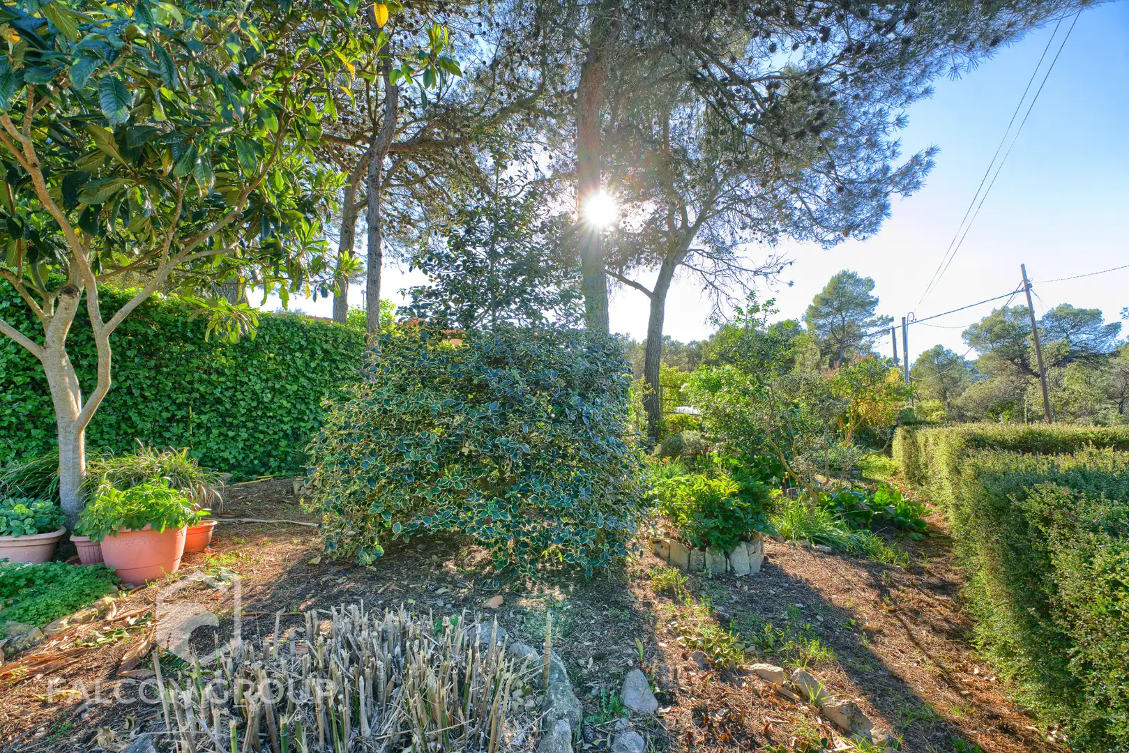 Jardín de Casa o chalet en venta en Querol con Jardín privado, Terraza y Trastero