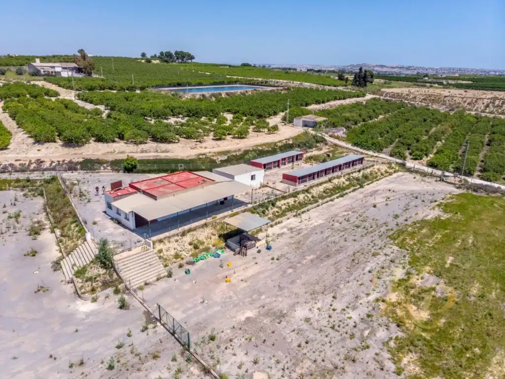 Casa en venta en Los Montesinos, imagen 39