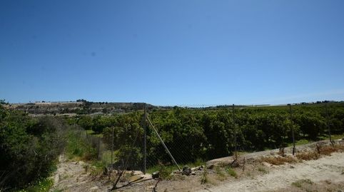 Foto 4 de Residencial en venta en Jacarilla, Alicante