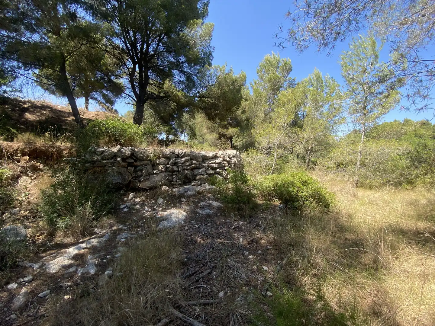 Residential land for sale in Urbanitzacions de Llevant, imagen 16