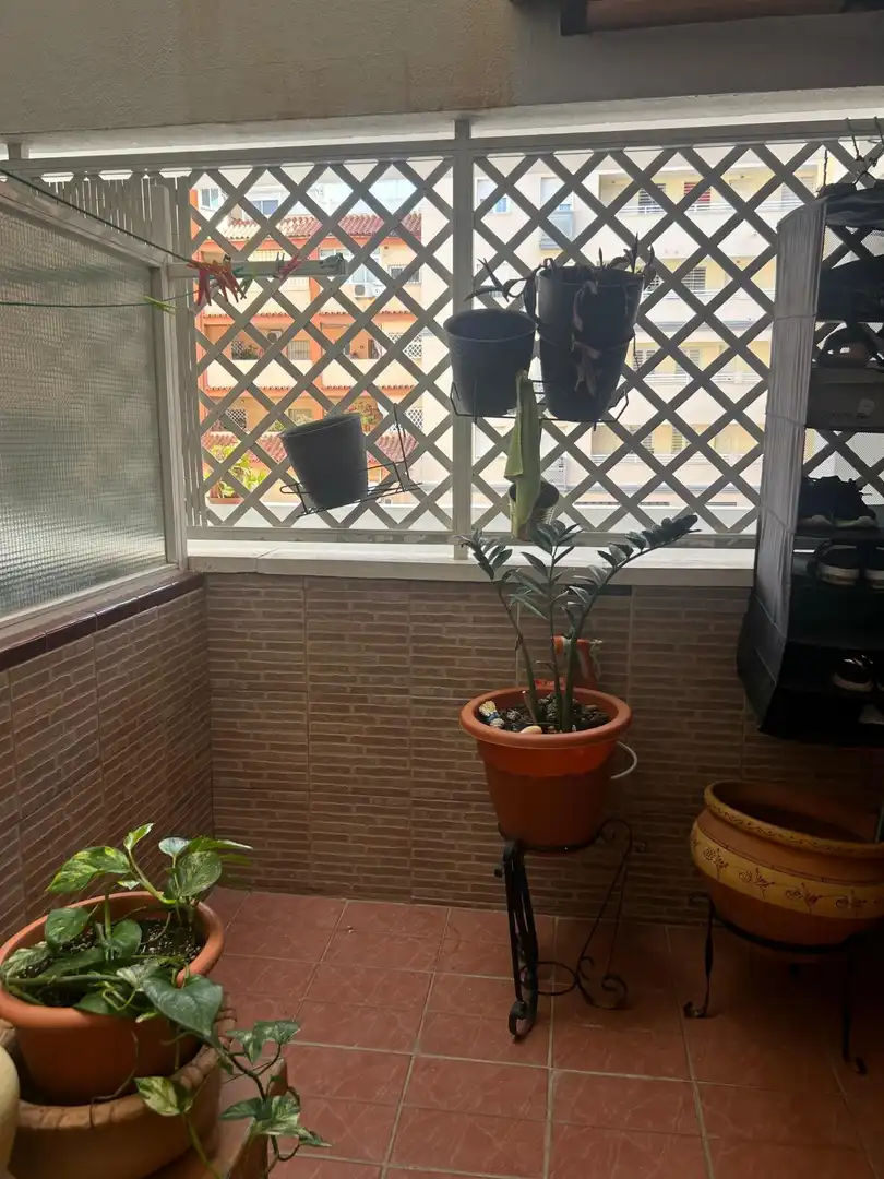 Apartamento en venta en Centro ciudad, imagen 2