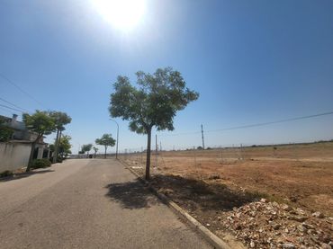 Terreni e lotti in vendita a Sisante