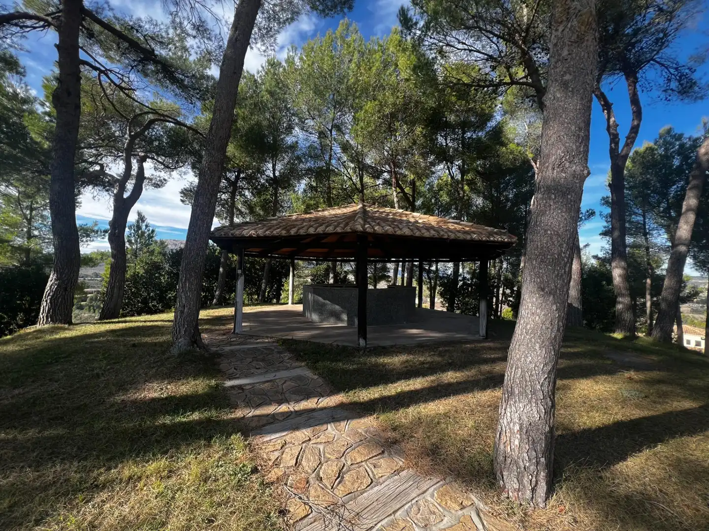 Casa rústica amb terrassa en venda a Carretera cv-785, imagen 62