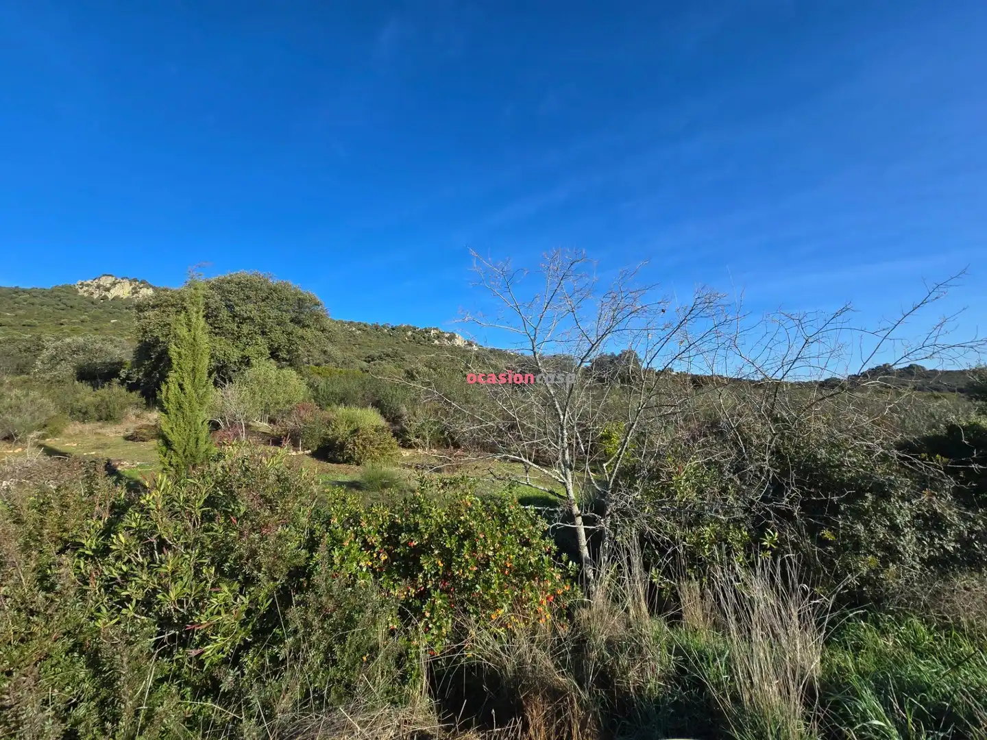 Casa o chalet en venta en Santa Eufemia