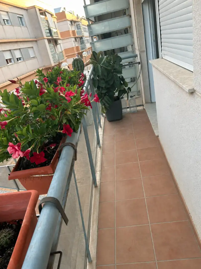 Flat with terrace for sale in Alfafar, imagen 2