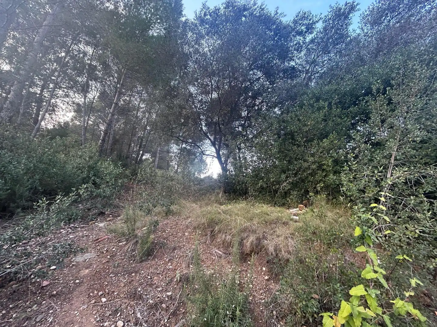Rustikales Grundstück zum Verkauf in CAN FELIU, imagen 7