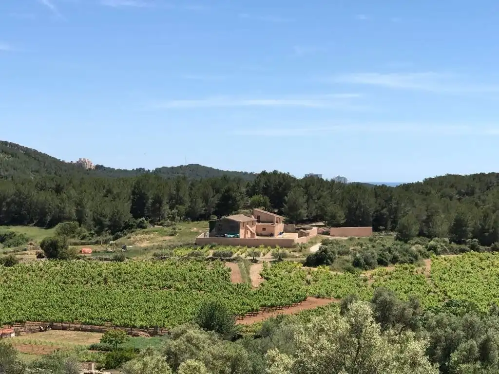 Garten von Country house zum Verkauf in Sant Pere de Ribes