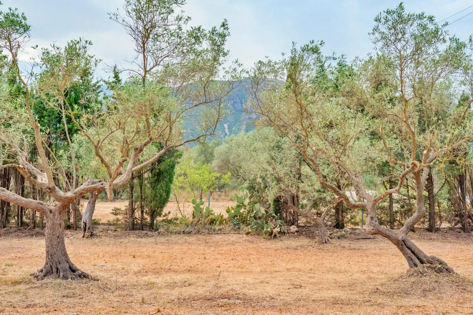 Casa o xalet en venda en Tortosa amb Jardí privat