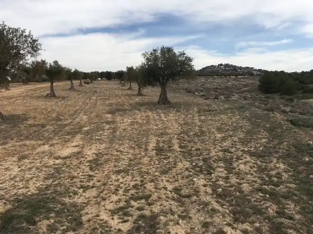 Rural land for sale in Diseminado Casasola Cm 691, imagen 4