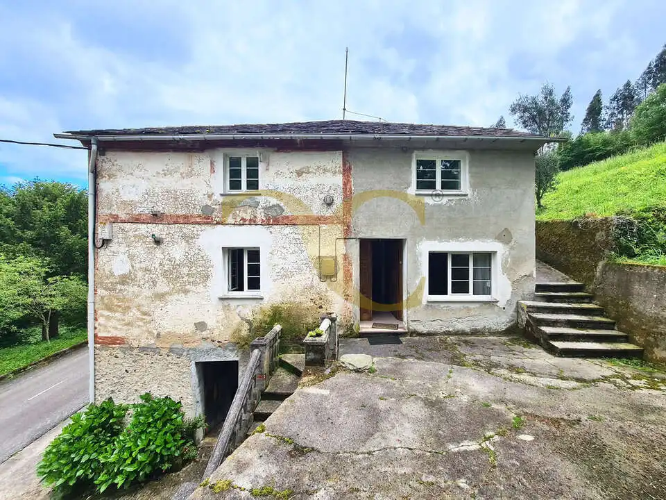 Vista exterior de Casa o chalet en venta en Coaña