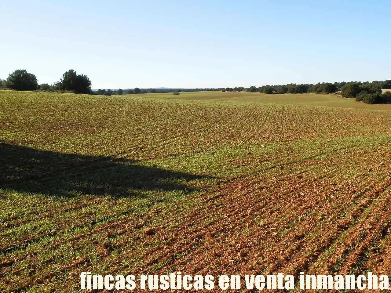 Lands and plots for sale in Ossa de Montiel, imagen 20