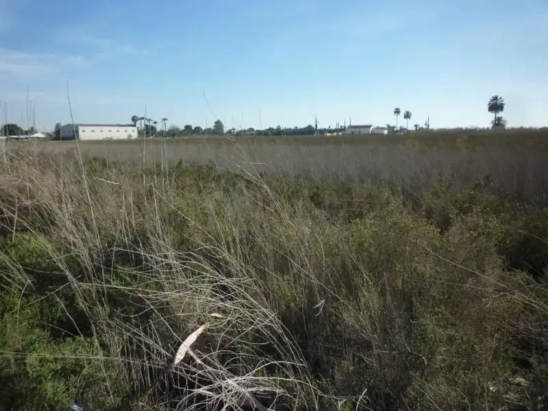 Terreno rustico in vendita a Calle Valle Inclán 7, imagen 2