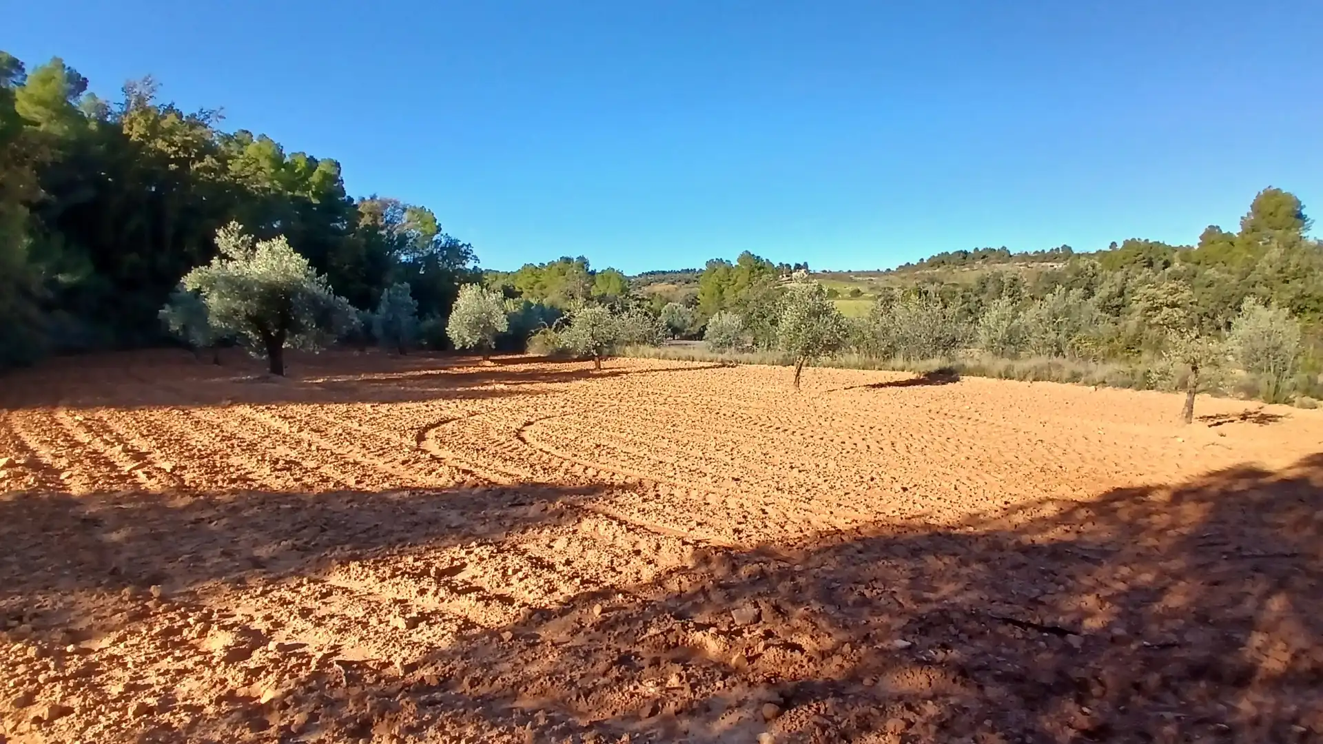 Terreno rustico in vendita a N/A, imagen 10
