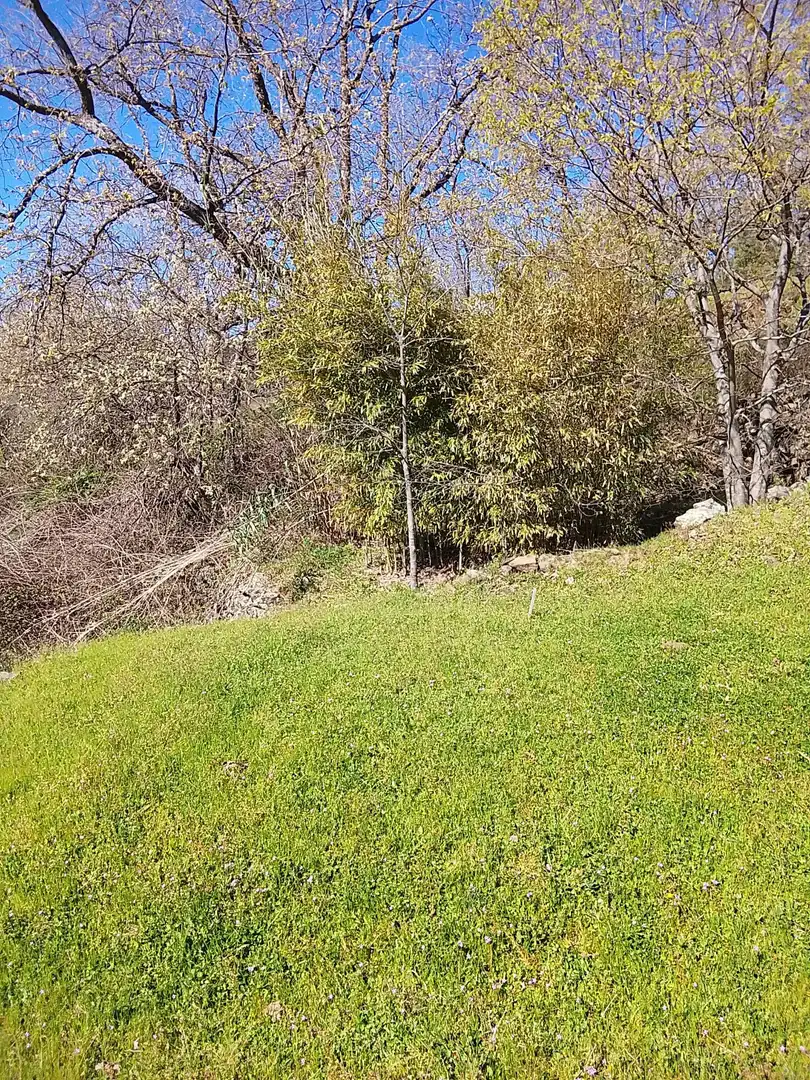 Terreni e lotti in vendita a Candeleda, imagen 55