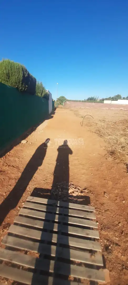 Finca rústica en venta en Aznalcázar