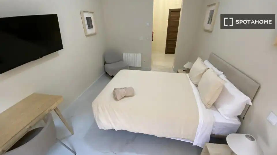Room in Embajadores - Lavapiés