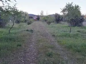 Terreno en venta en Piedrabuena