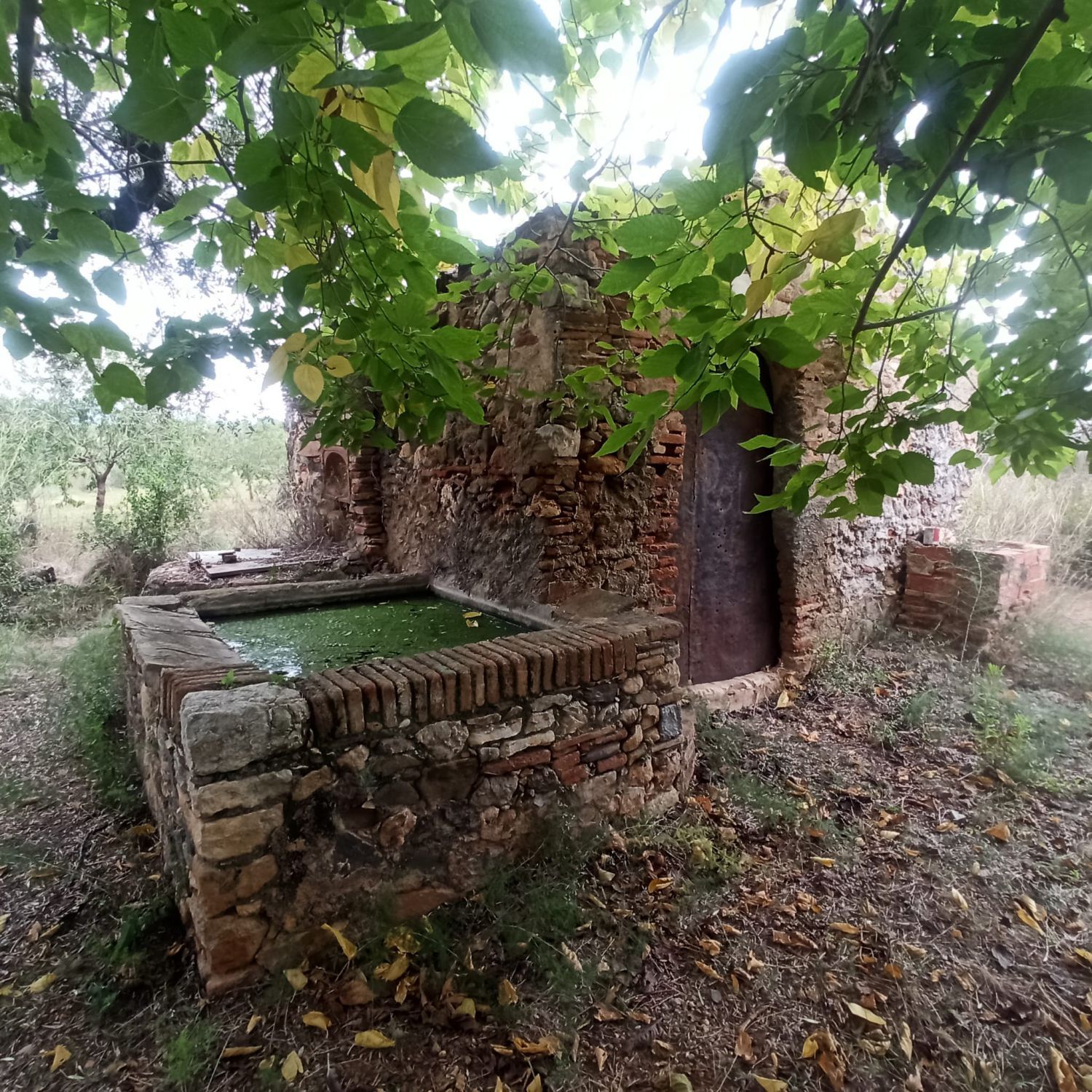 Jardín de Finca rústica en venta en La Selva del Camp