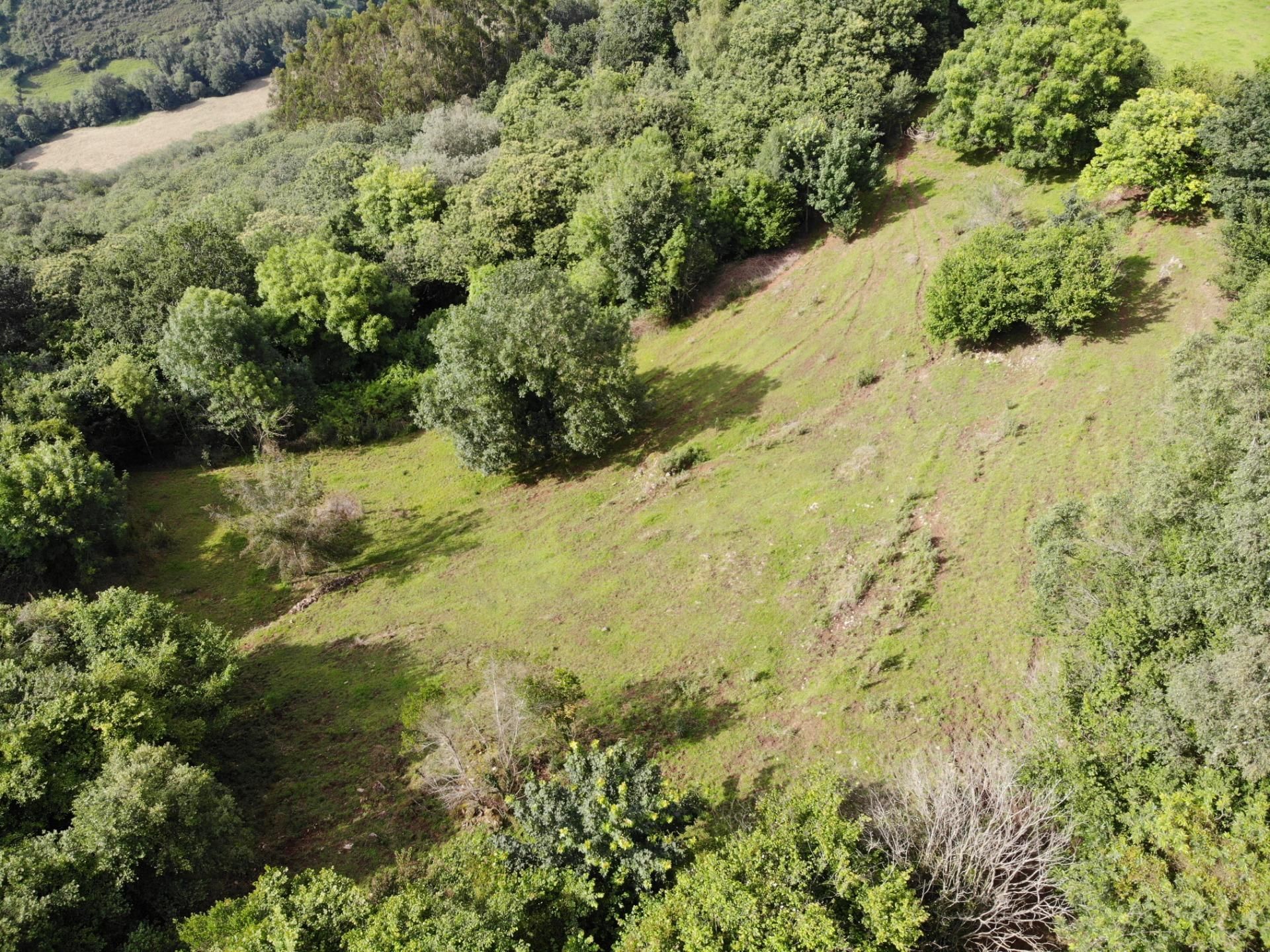 Casa o xalet en venda en Grado
