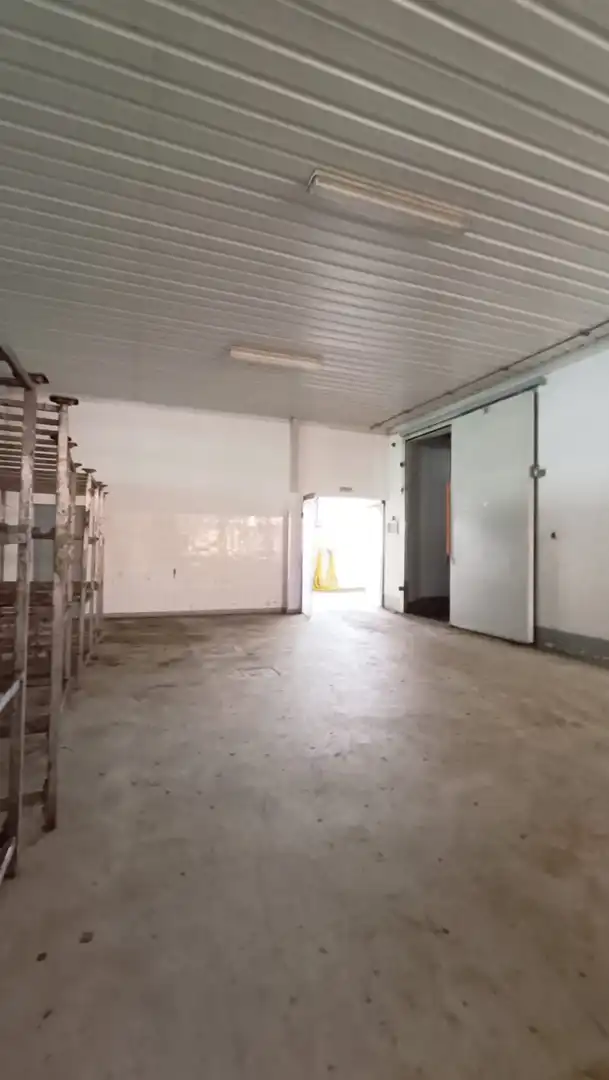 Fabrikhallen zum Verkauf in Tineo