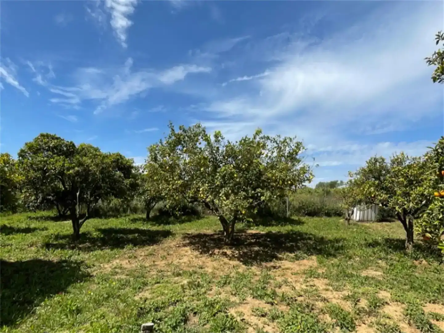Country house zum Verkauf in La Palma del Condado mit Balkon
