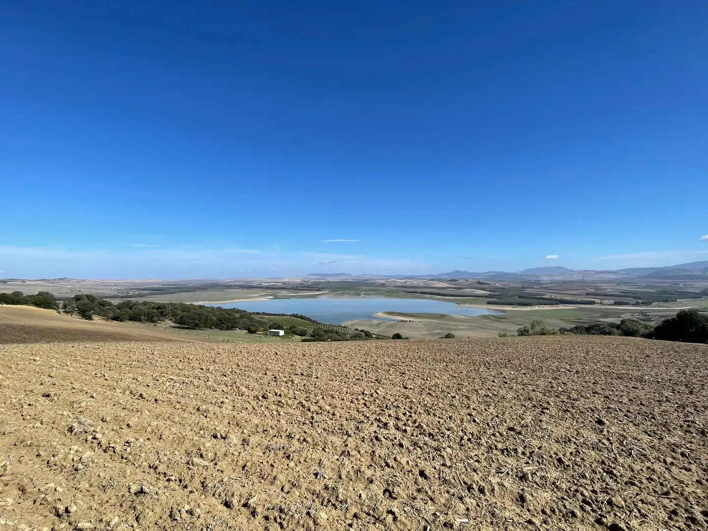 Terreno rustico in vendita a Arcos de la Frontera, imagen 14