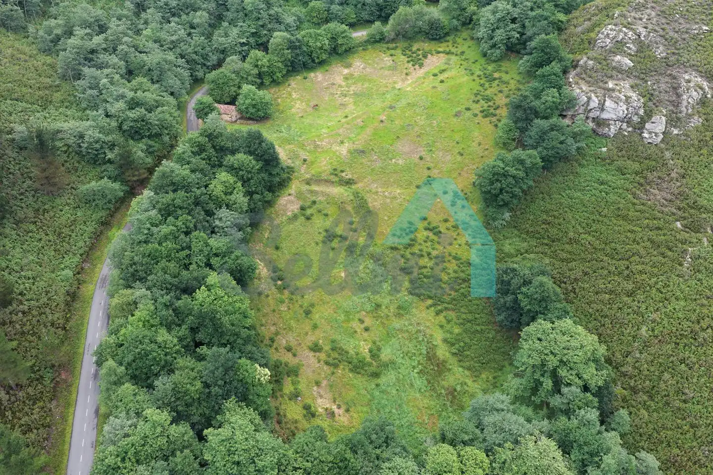 Land for sale in Proaza