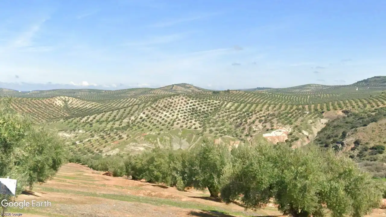 Terreni e lotti in vendita a Torredonjimeno