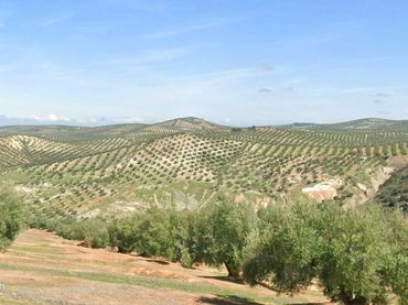Terreno rústico en venta en Torredonjimeno