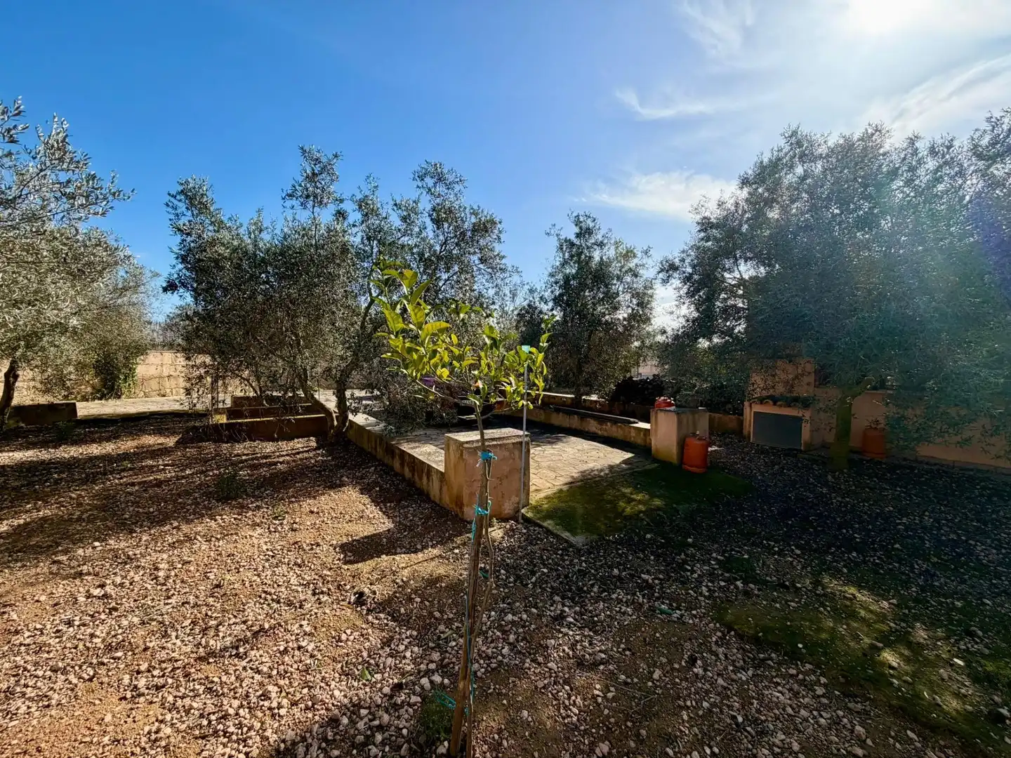 Garden of Country homes for sale in Llucmajor  with Private garden, Terrace and Alarm
