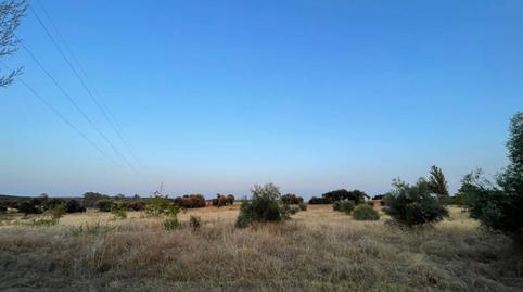 Photo 3 of Residential to rent in Dehesilla de Calamón - Campomanes, Badajoz