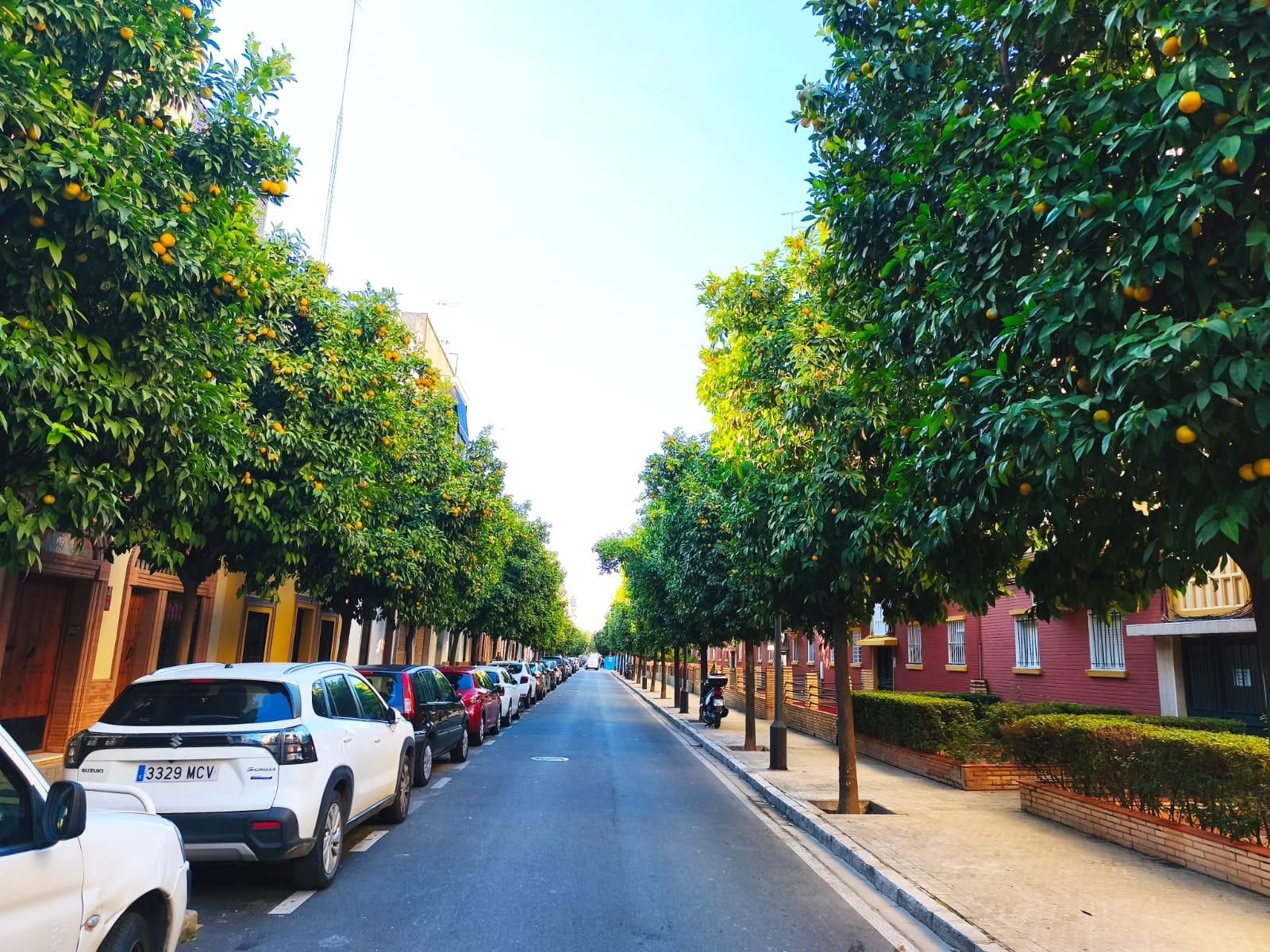 Pis en venda a  PADRE PEDRO AYALA, Barrio del Nervión, Nervión