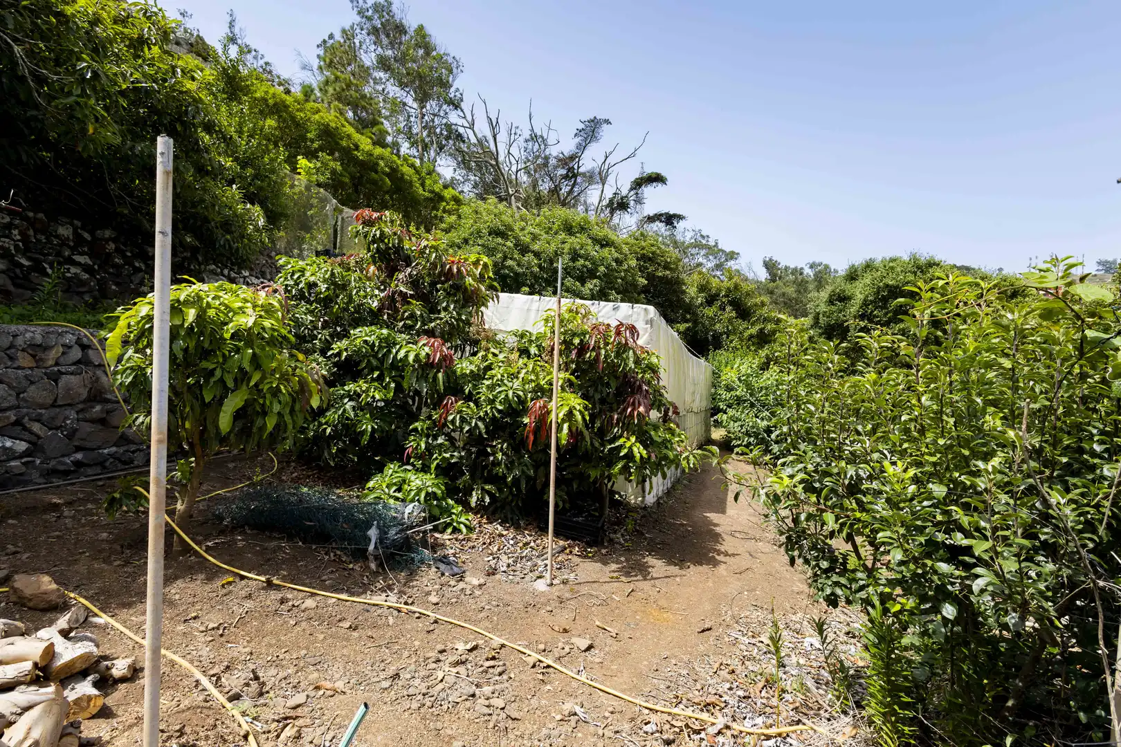 Rural land for sale in Tegueste, imagen 18