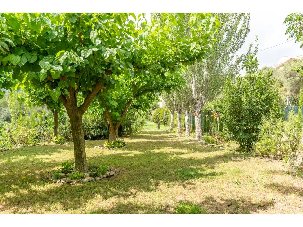 Jardí de Finca rústica en venda en Riudecols amb Calefacció, Jardí privat i Piscina