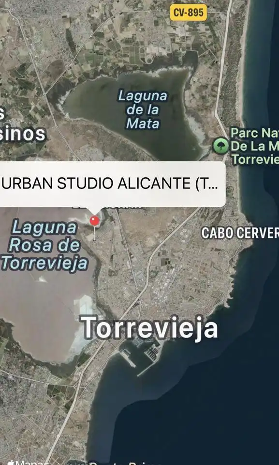 Vista exterior de Casa o xalet en venda en Torrevieja amb Jardí privat, Parquet i Terrassa