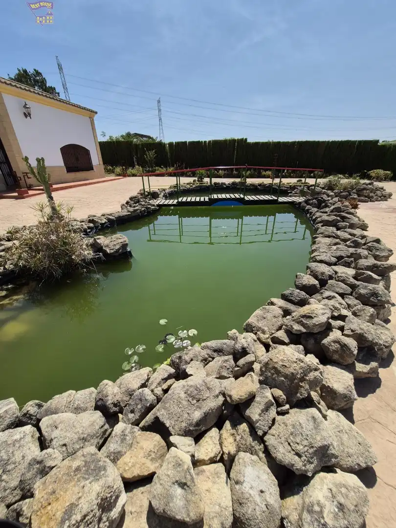 Casa rústica amb jardí en venda a Arcos de la Frontera, imagen 60