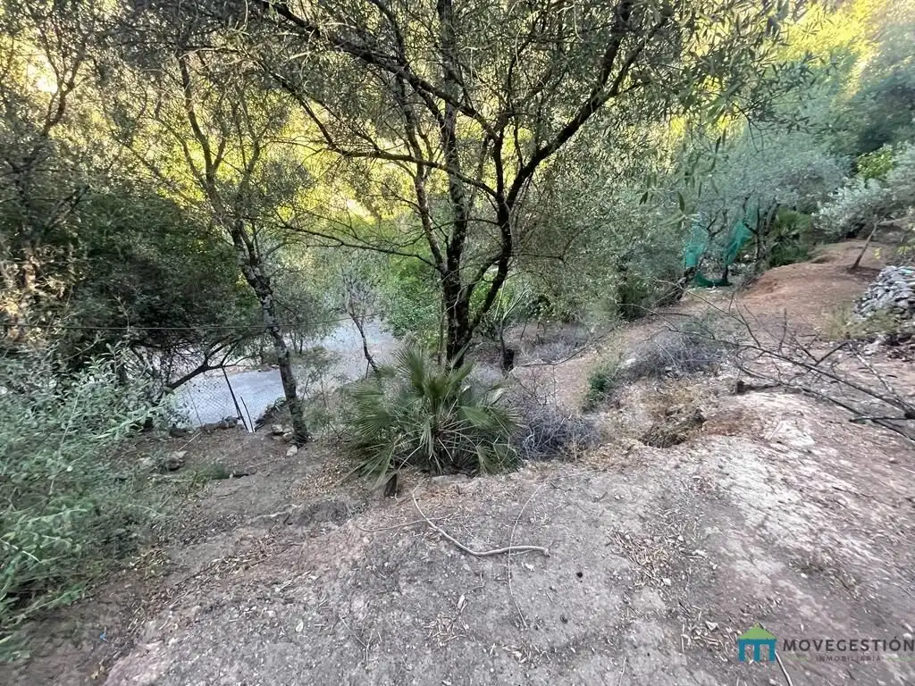 Finca rústica en venta en Benaocaz con Jardín privado, Terraza y Trastero