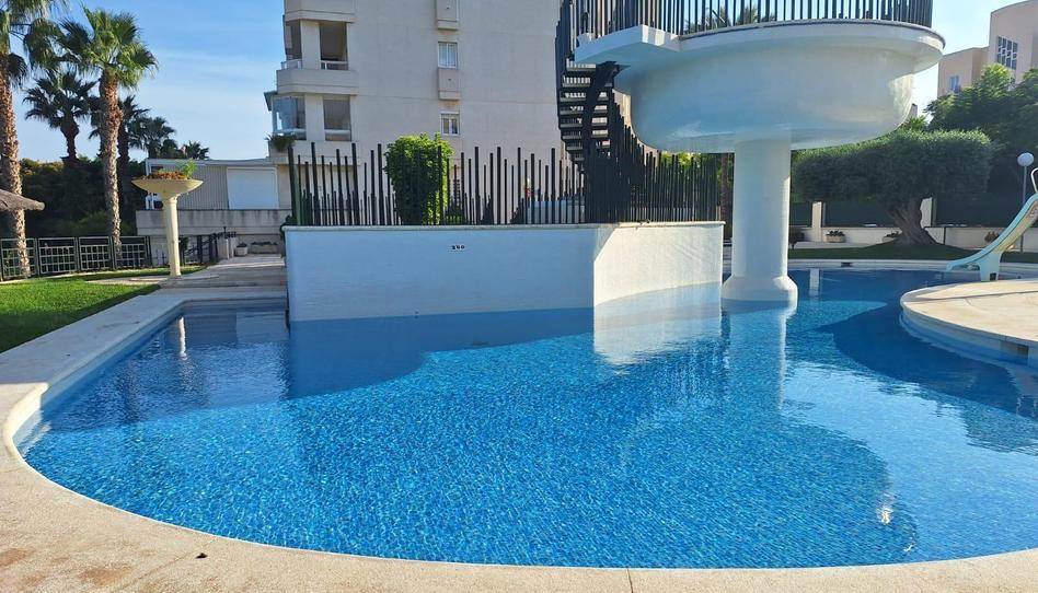 Photo 1 of Flat to rent in Avenida Pintor Fernando Soria, Alicante Golf, Alicante