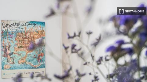 Foto 2 de Estudio para compartir en La Caleta - La Viña,  Cádiz Capital