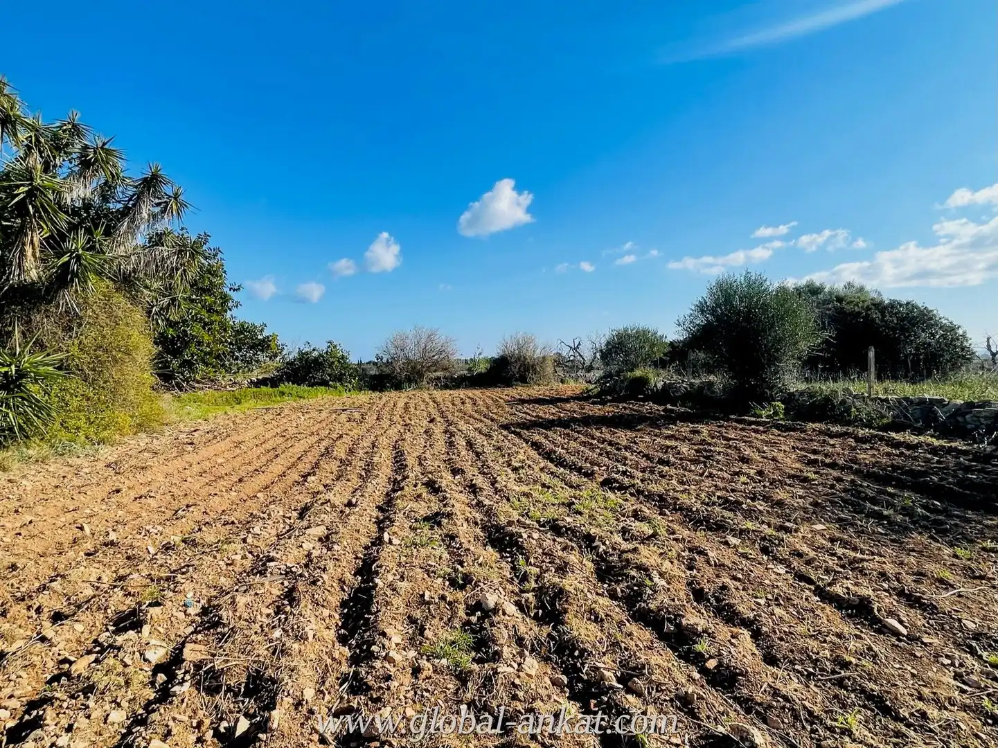 Finca rústica en venta en Manacor