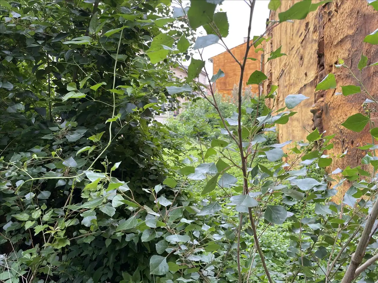 Wohnbaugrundstück zum Verkauf in Horta D'En Font, imagen 8