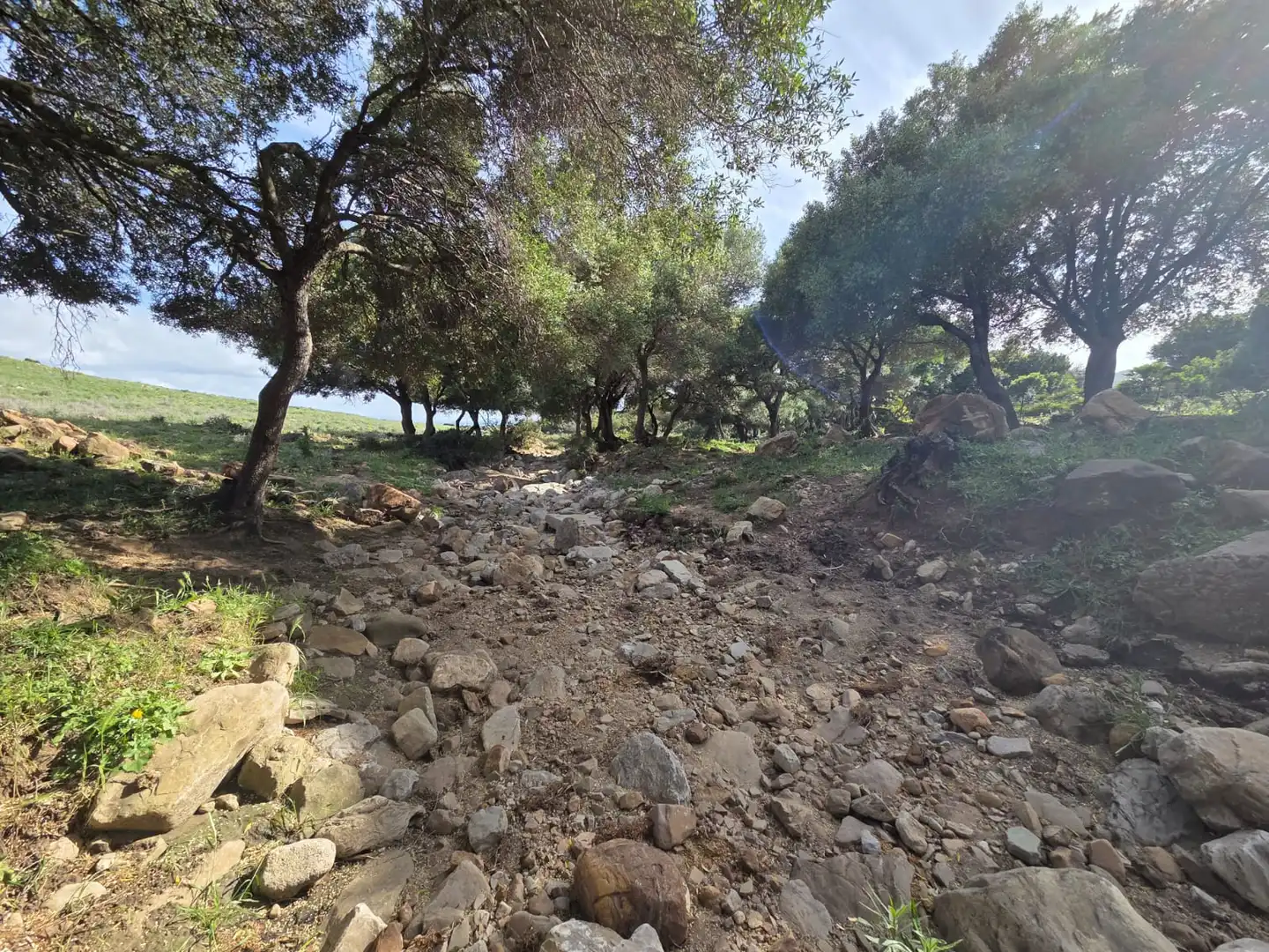 Vista exterior de Terreno en venta en Tarifa