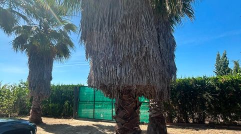Foto 4 de Residencial en venda a Pedanías Norte, Utrera