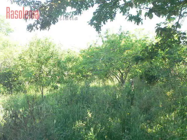 Terreni e lotti in vendita a De Catro Ventos 15, imagen 9