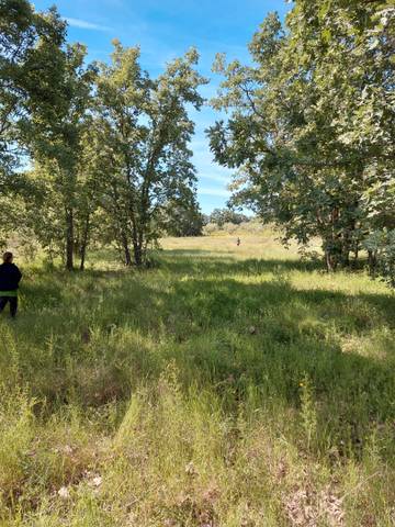 Terreno en Venta en Robledillo de la Vera