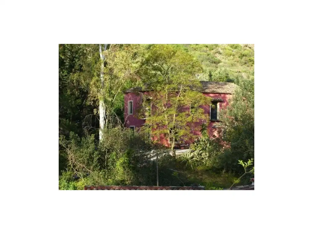 Vista exterior de Finca rústica en venta en Benahavís