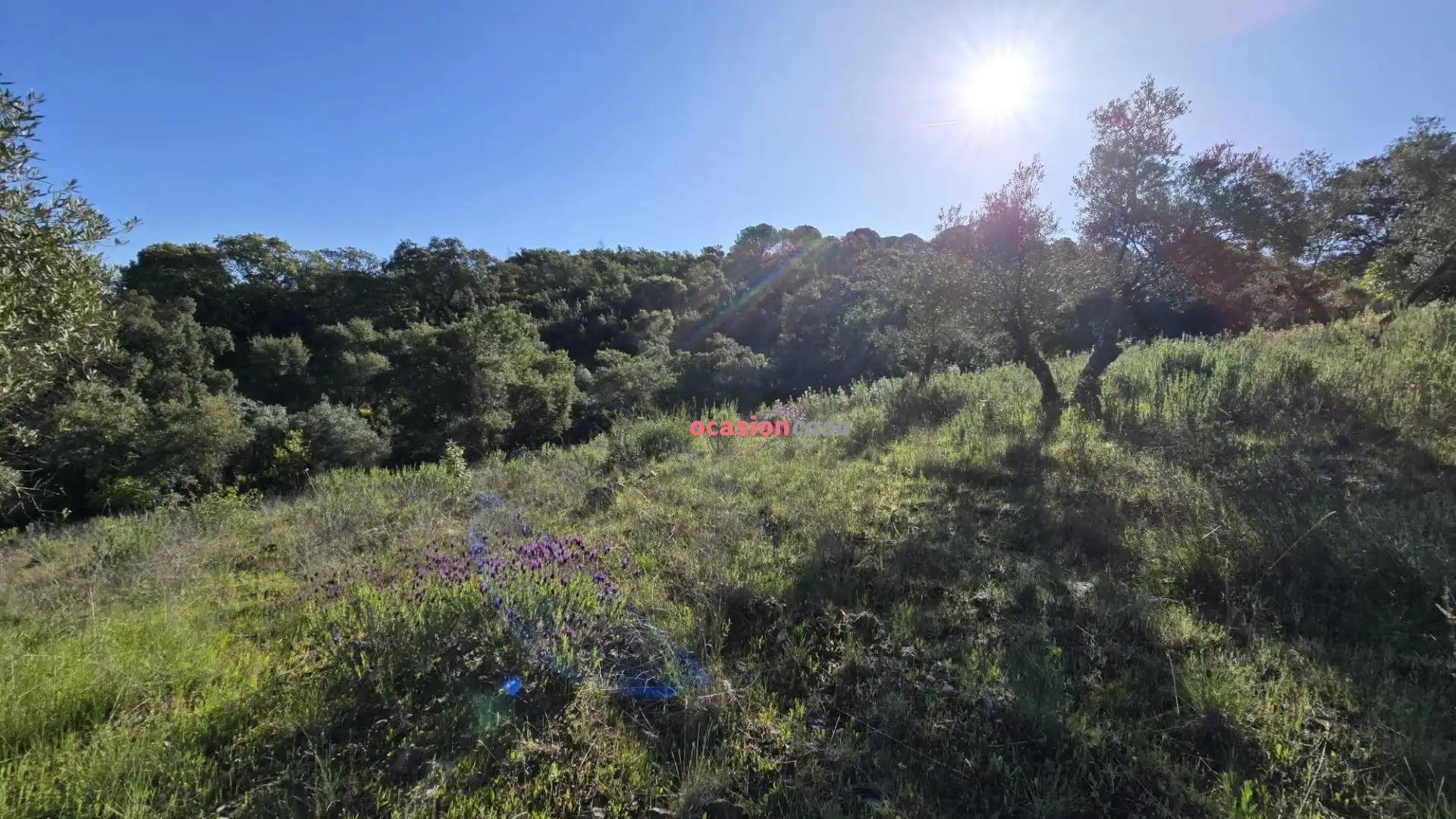 Casa o chalet en venta en Pozoblanco con Jardín privado, Terraza y Trastero
