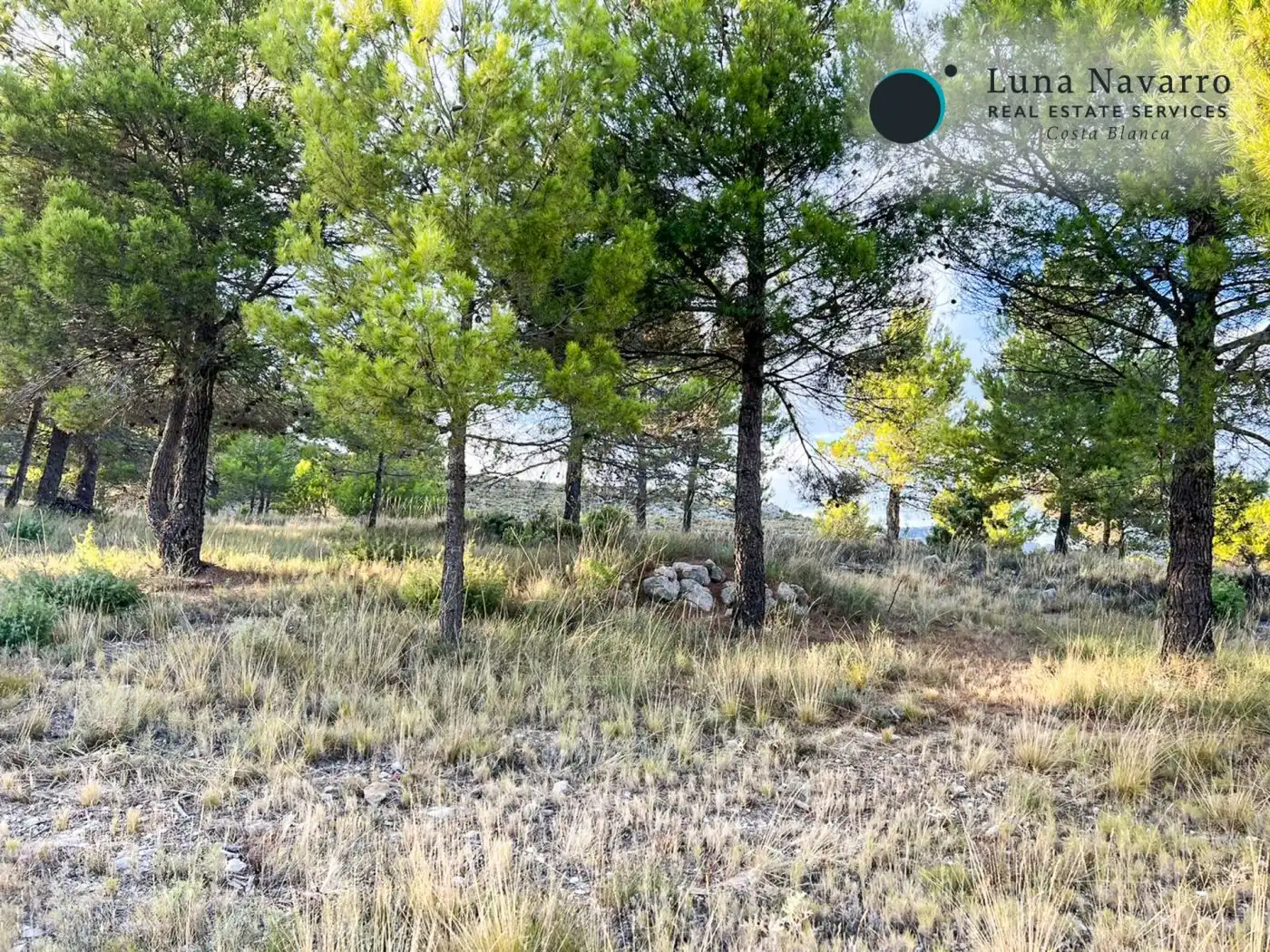 Terreno en venta en Calle San Antonio, 50, Confrides