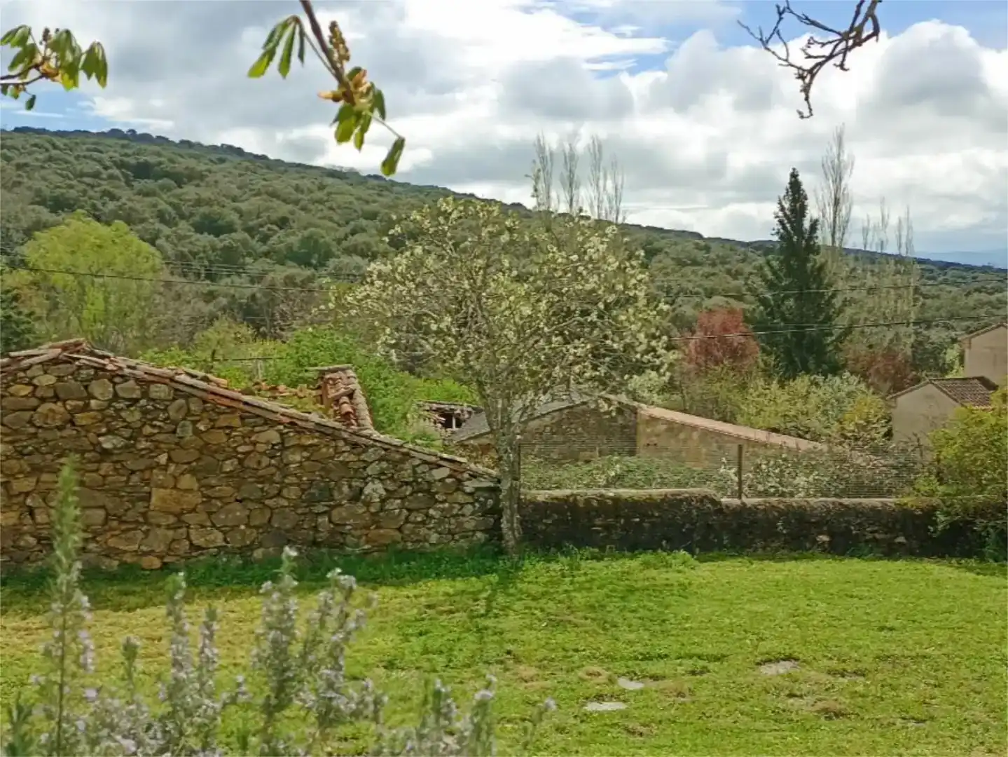 Jardín de Planta baja en venta en Membribe de la Sierra con Amueblado