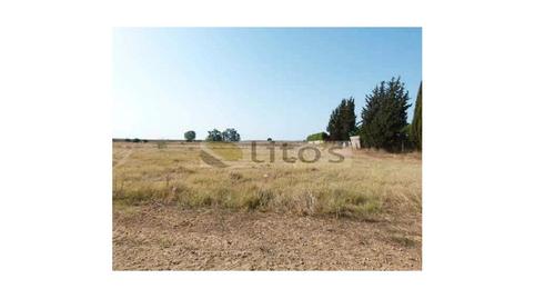 Foto 3 de Residencial en venta en La Hacienda - Nueva Andalucía, Sevilla